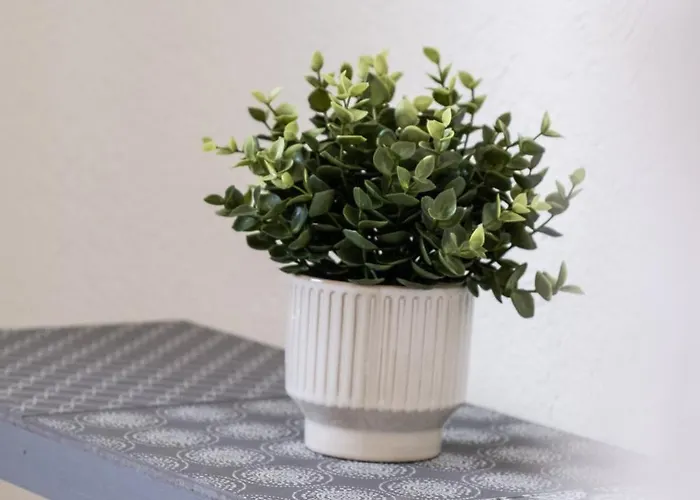 Hotel Zur Post Witzhelden *